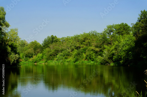 River in the forest at summer