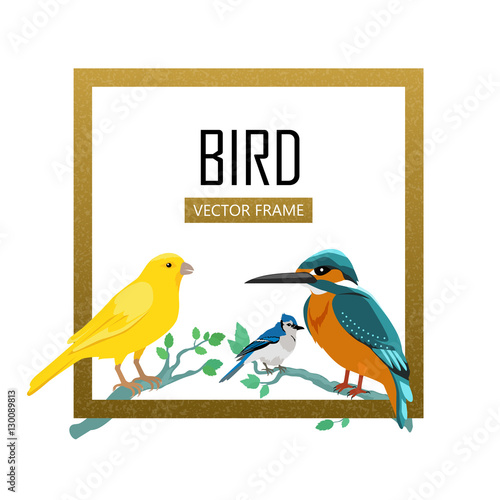 Birds Frame Flat Design Vector Illustration