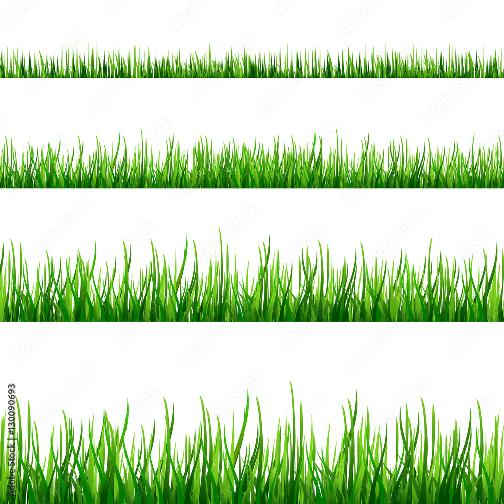 Grass seamless field pattern isolated on white Vector Grass seamless field pattern isolated on white Vector
