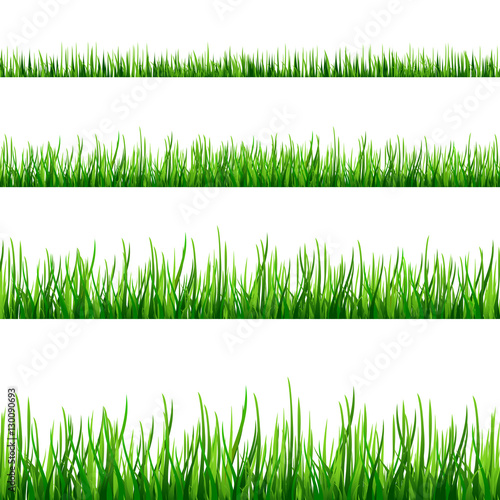 Grass seamless field pattern isolated on white Vector
