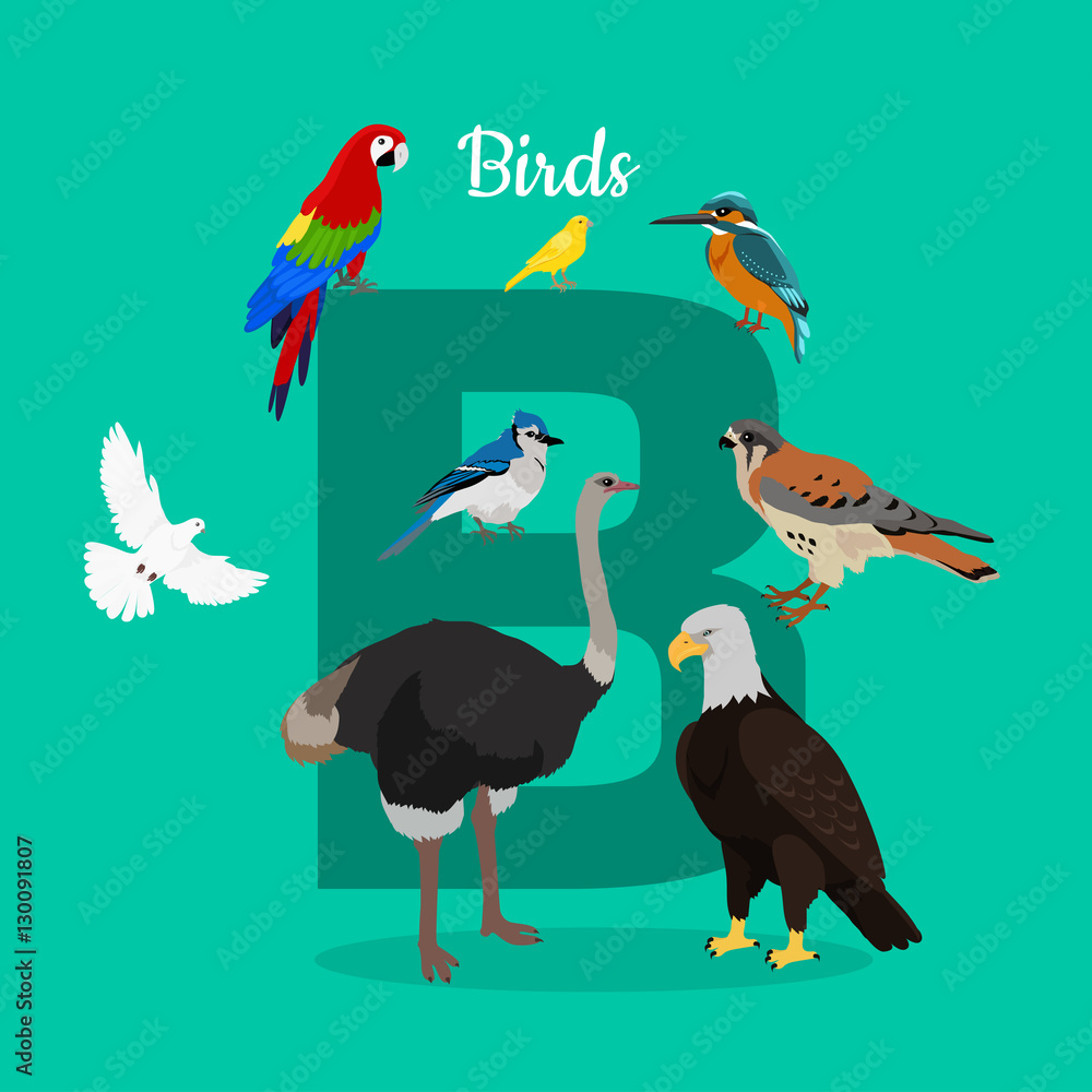 Birds with Letter B Isolated. ABC, Alphabet. Birds with Letter B Isolated. ABC, Alphabet.
