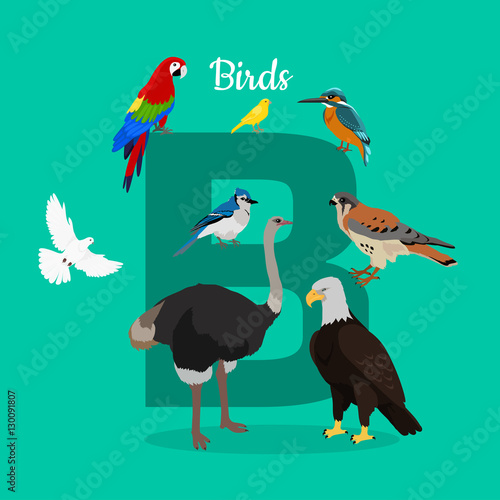 Birds with Letter B Isolated. ABC, Alphabet. © robu_s