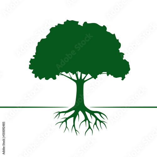 Green Vector Tree and Roots. Vector Illustration.