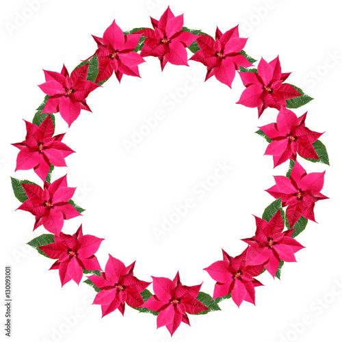 Christmas wreath of red poinsettia 