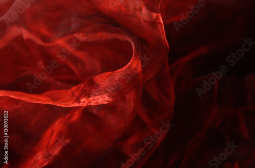 Cuadro en lienzo Red tulle