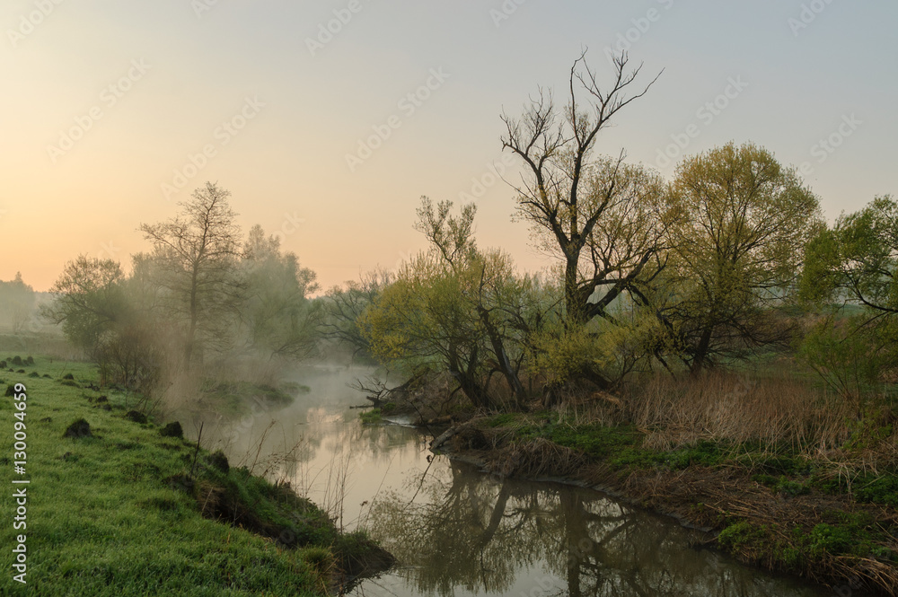Весенний пейзаж с видом небольшой извилистой реки на рассвете и деревьев по берегам 