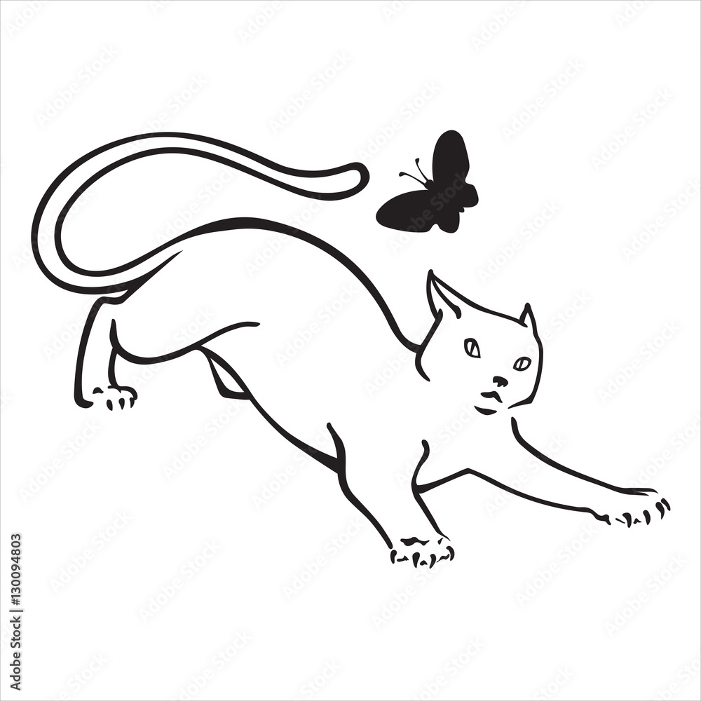 Fototapeta premium Kitten with butterfly on white background.