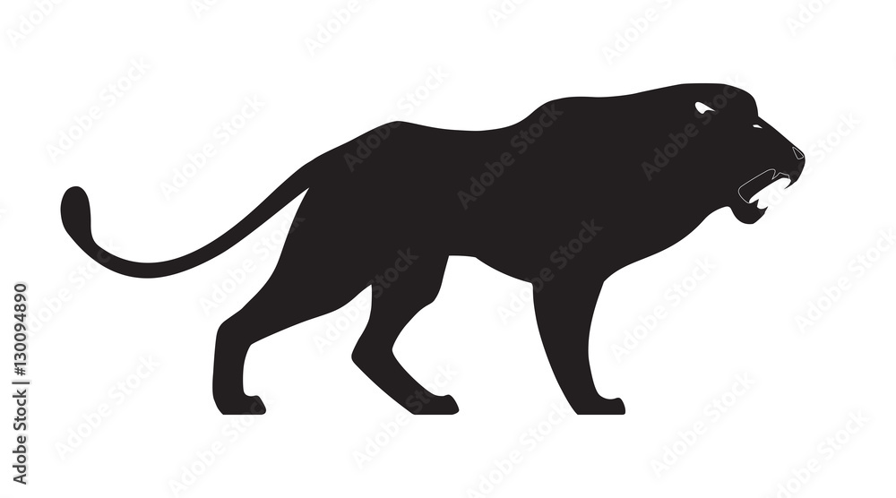 Roaring lion on white background. Vector illustration.