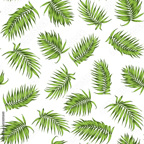 Tropical exotic palm tree branch leaves. Loose seamless jungle forest greenery pattern on white background. Vector design illustration for textile  fabric  wrapping  decoration.