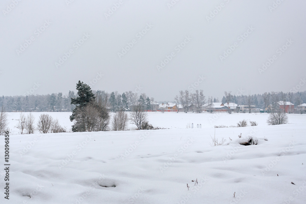 The landscape is snow-covered field on a cloudy winter day