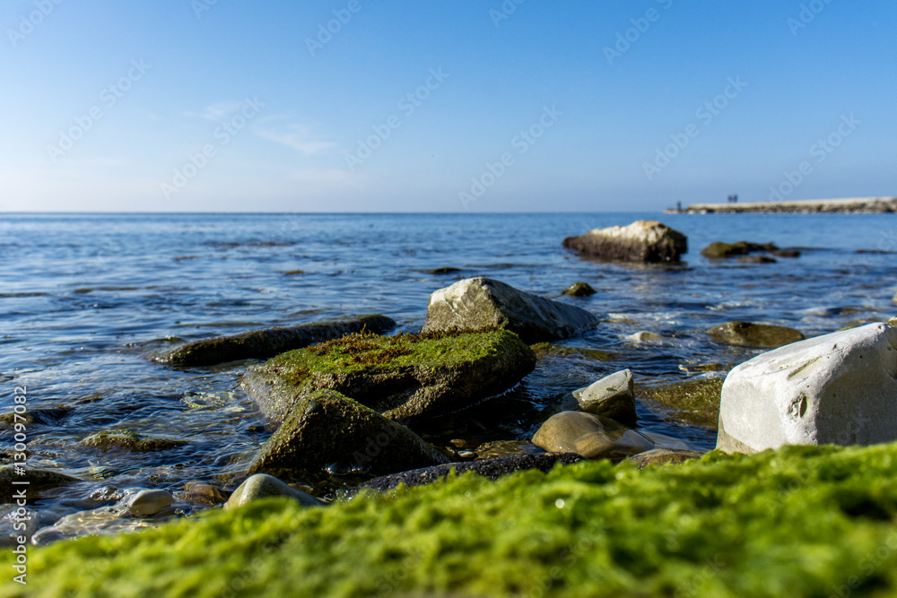 sea, stones