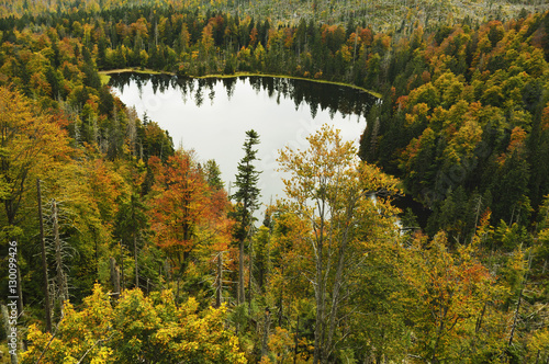 Rachelsee (Rachel Lake), Grosser Rachel, Bavarian Forest National Park, Bavarian Forest, Bavaria, Germany photo