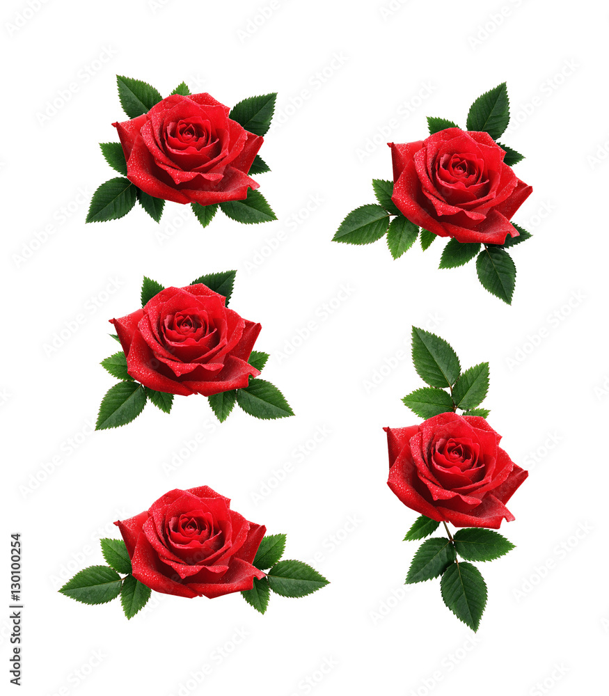 Set of red rose flowers decorations Set of red rose flowers decorations