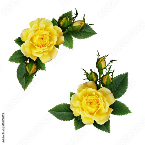 Yellow rose flowers arrange...