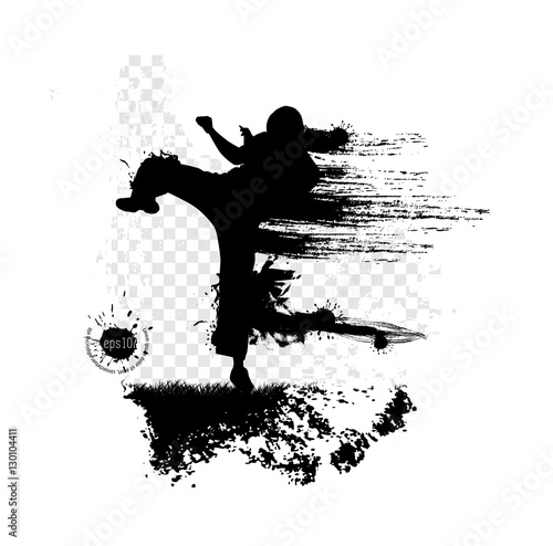 Vector of karate