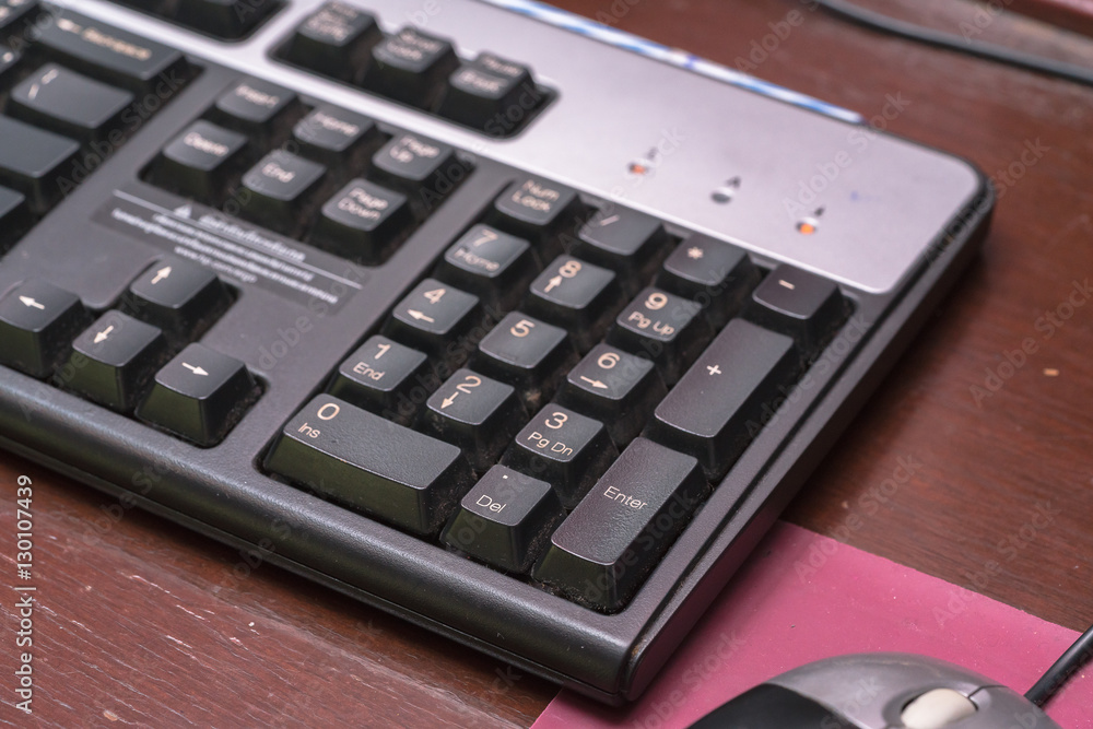The computer mouse and the keyboard
The computer mouse and the keyboard