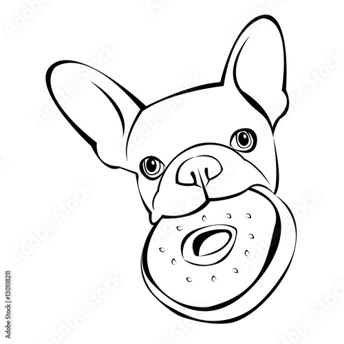 dog vector breed cute animal bulldog french