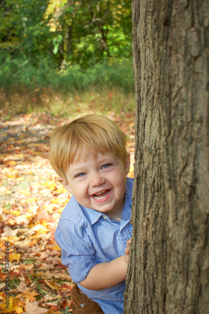 adorable toddler boy walking in park during fall autumn season adorable toddler boy walking in park during fall autumn season