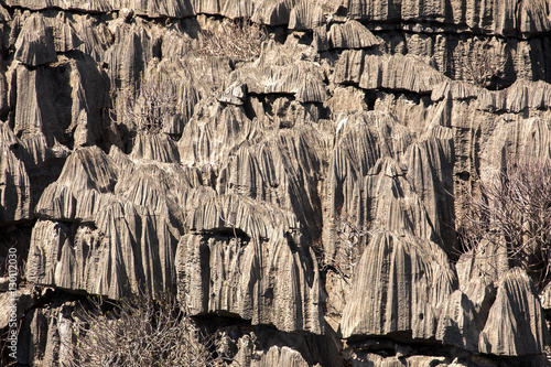 Ankaran limestone rock formations look like on another planet, Ankarana, Madagascar