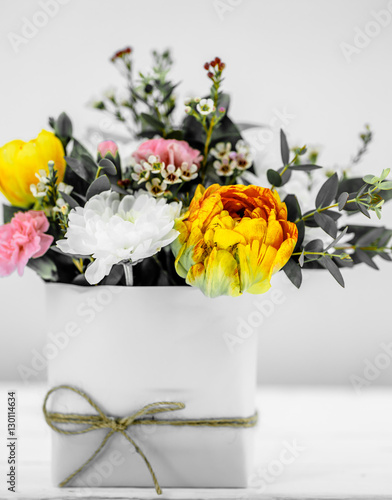 live spring flowers on white background