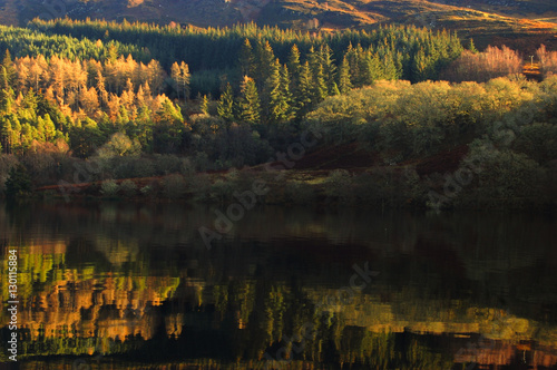 Fototapeta Naklejka Na Ścianę i Meble -  Autumn forrest reflection Loch Ness