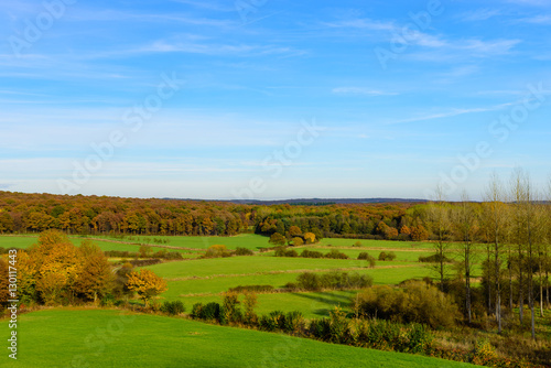 Ardennes. Colorful autumn landscape with grass fields and forest in Ardennes, Wallonia, Belgium.