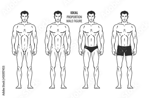 Ideal proportion, male figure. Hand-drawn outline man in full growth, human. Vector illustration