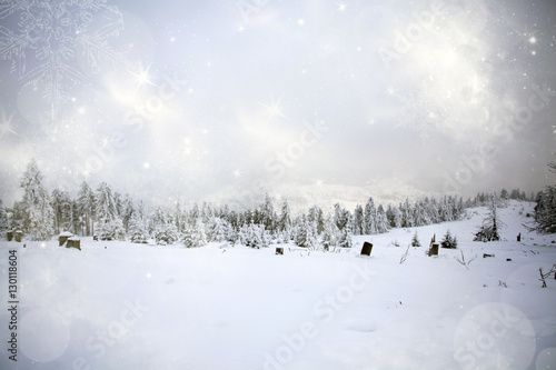 Winter landscape with snowy fir trees