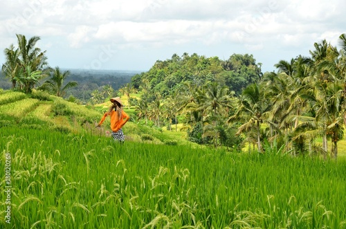 Scerecrow on green rice fields on Bali island Indonesia