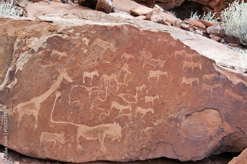 Petroglyphs or rock engravings, Twyfelfontein, Damaraland, Kunene Region, Namibia photo