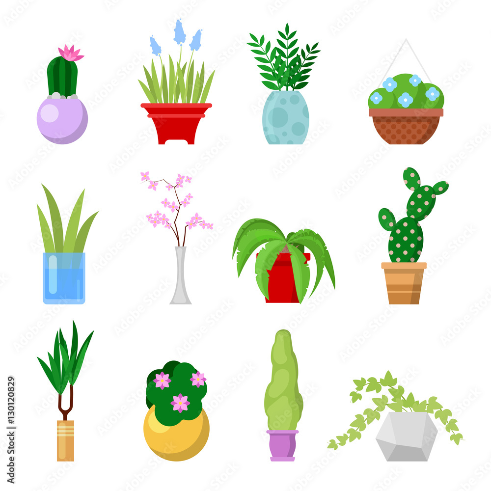Potted Home Plants Set. Decorative Houseplants and Flowers in Pots. Vector illustration Potted Home Plants Set. Decorative Houseplants and Flowers in Pots. Vector illustration