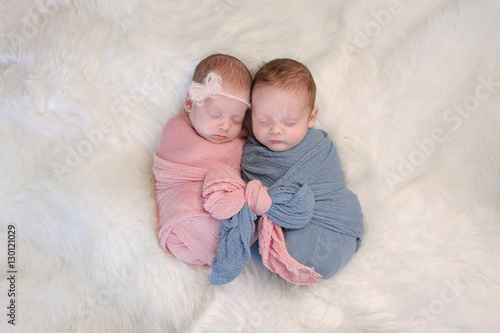Fraternal Twin Baby Brother and Sister