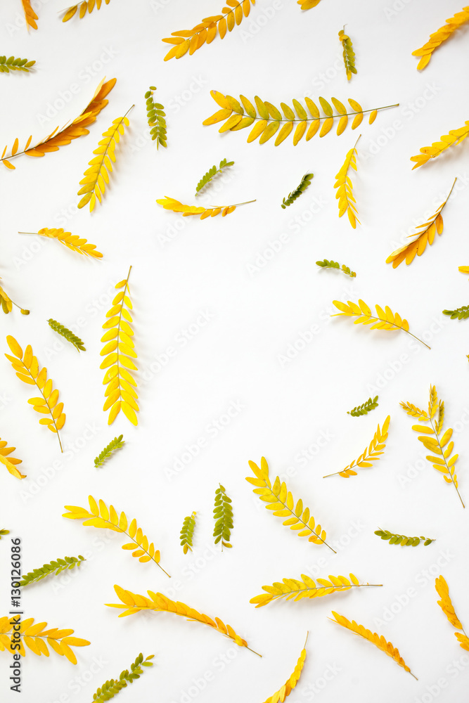 Creative arrangement of yellow autumn leaves on white background
