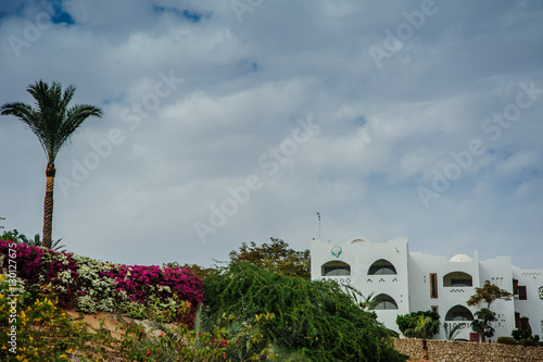 white house red sea in tropical resort whith palm and sand