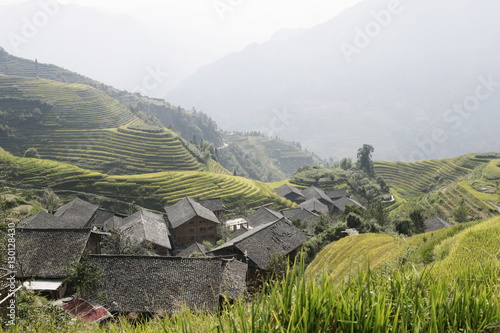 Wallpaper Mural Longsheng terraced ricefields, Guilin, Guangxi Province, China Torontodigital.ca