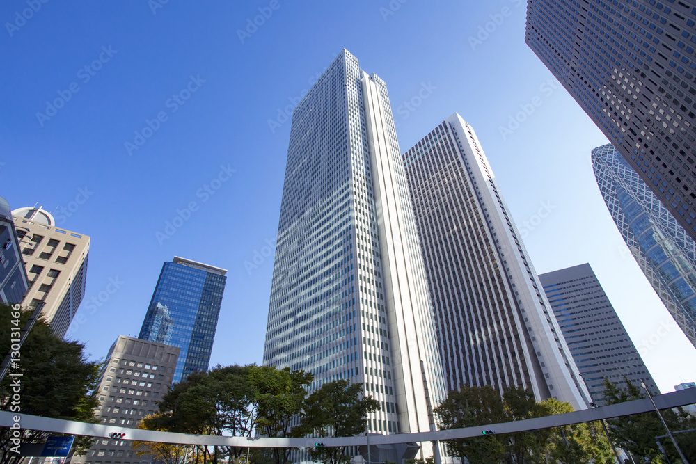 新宿の高層ビル街　Cityscape of Shinjuku,Tokyo