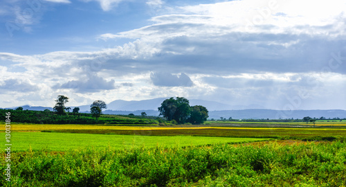 Beautiful landscape of the farm field, LamDong, Vietnam. © Hai791313