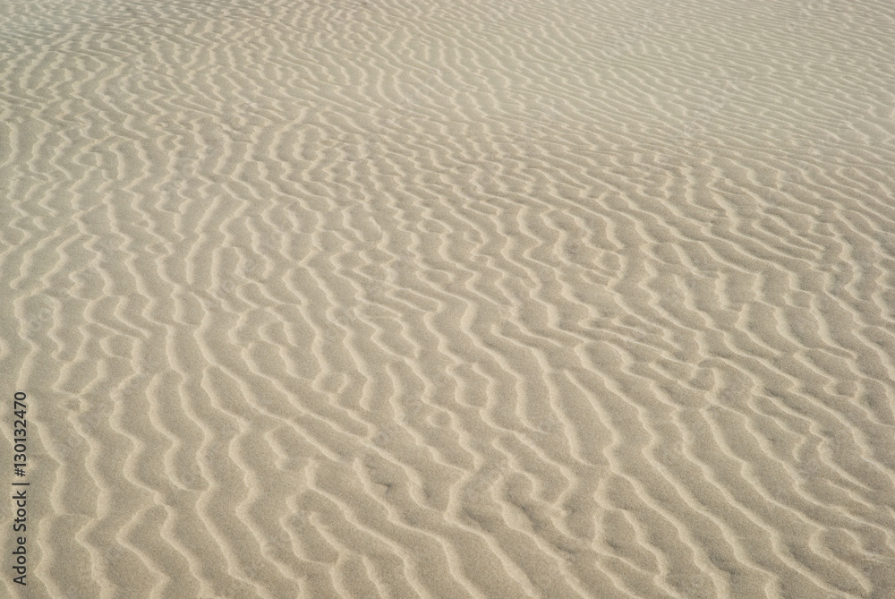 Rippled sand Rippled sand