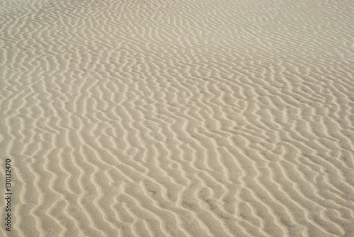 Rippled sand