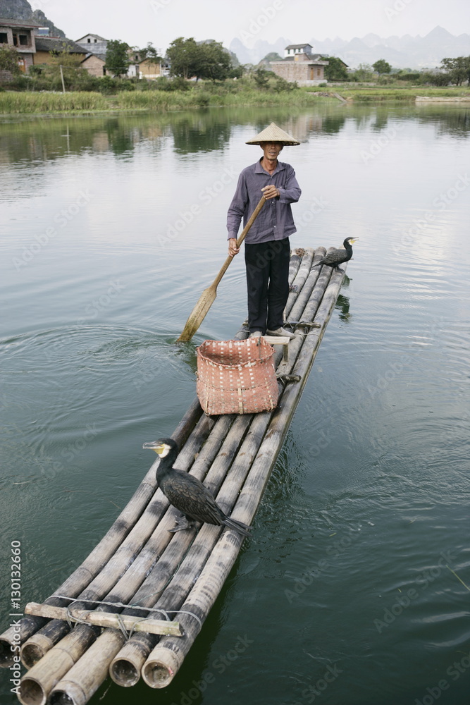 Fisherman with cormorants, Li River, Yangshuo, Guangxi Province, China Fisherman with cormorants, Li River, Yangshuo, Guangxi Province, China