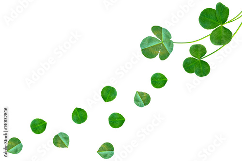 green clover leaves isolated on white background. St.Patrick 's