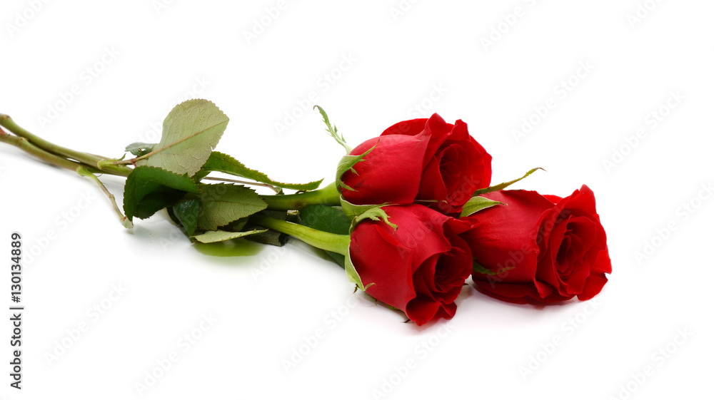 Naklejka premium czerwona róża bukiet na białym tle