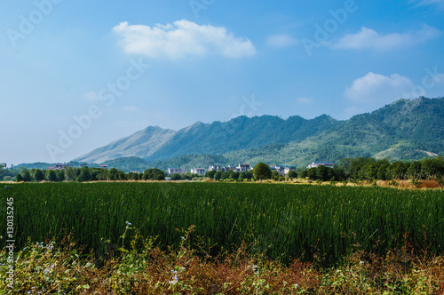 The countryside scenery 