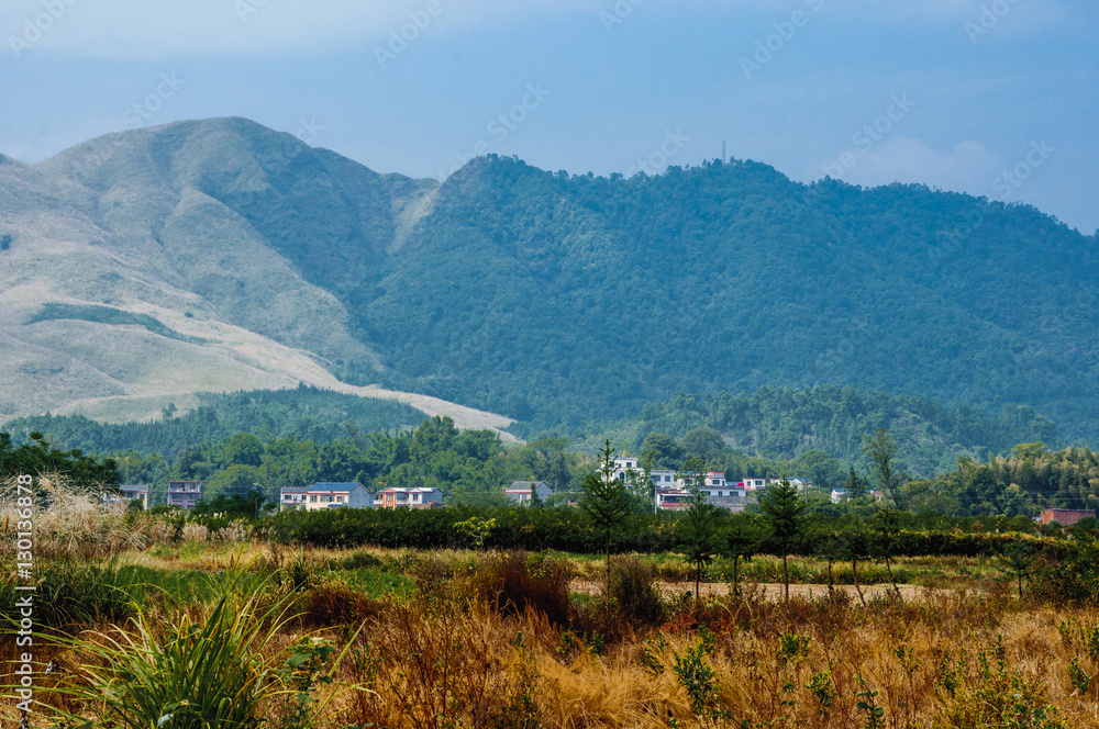 The countryside scenery with blue sky in autumn 
