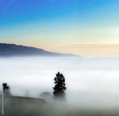 Majestic fog ocean in the mountains on sunset