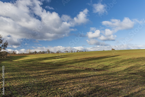 Green field with blue sky and white clouds