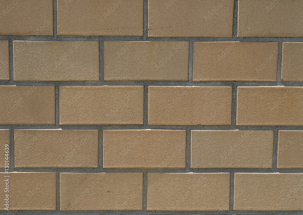 Fototapeta premium Wall