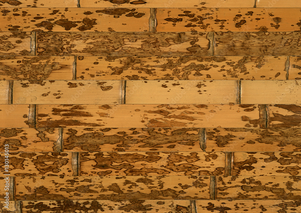 Fototapeta premium Veneer