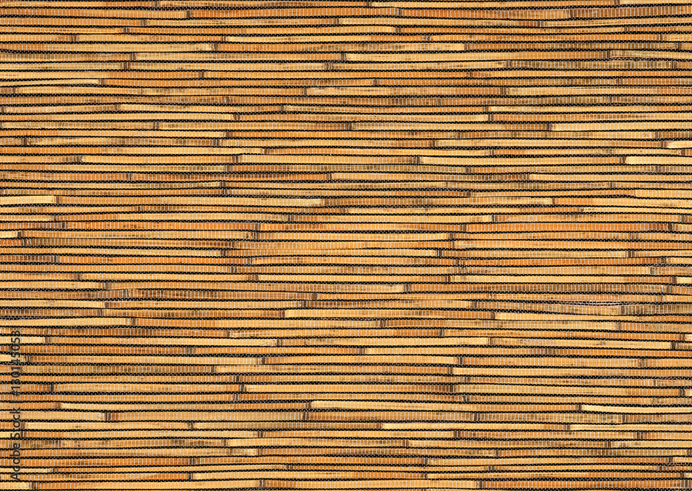 Reed Reed
