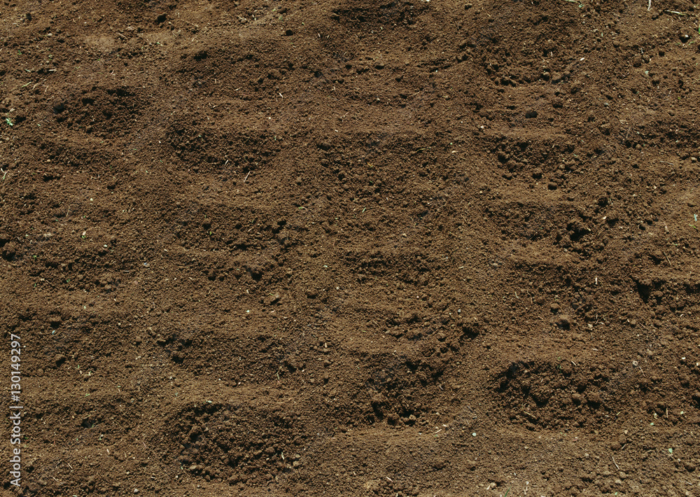 Soil Soil